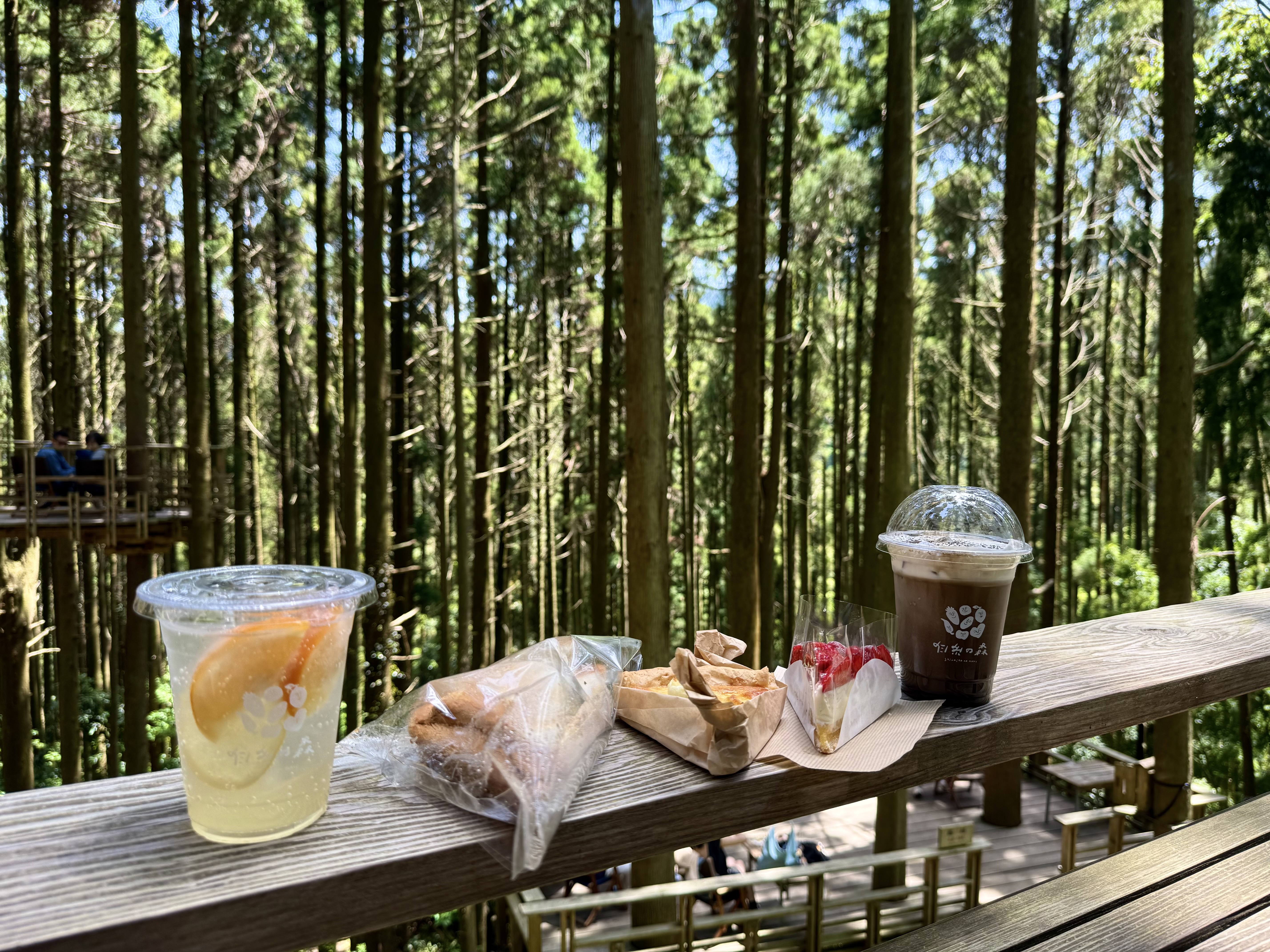 Forest Cafe Midori no Uta: Enchanting Forest Cafe in Itoshima, Fukuoka