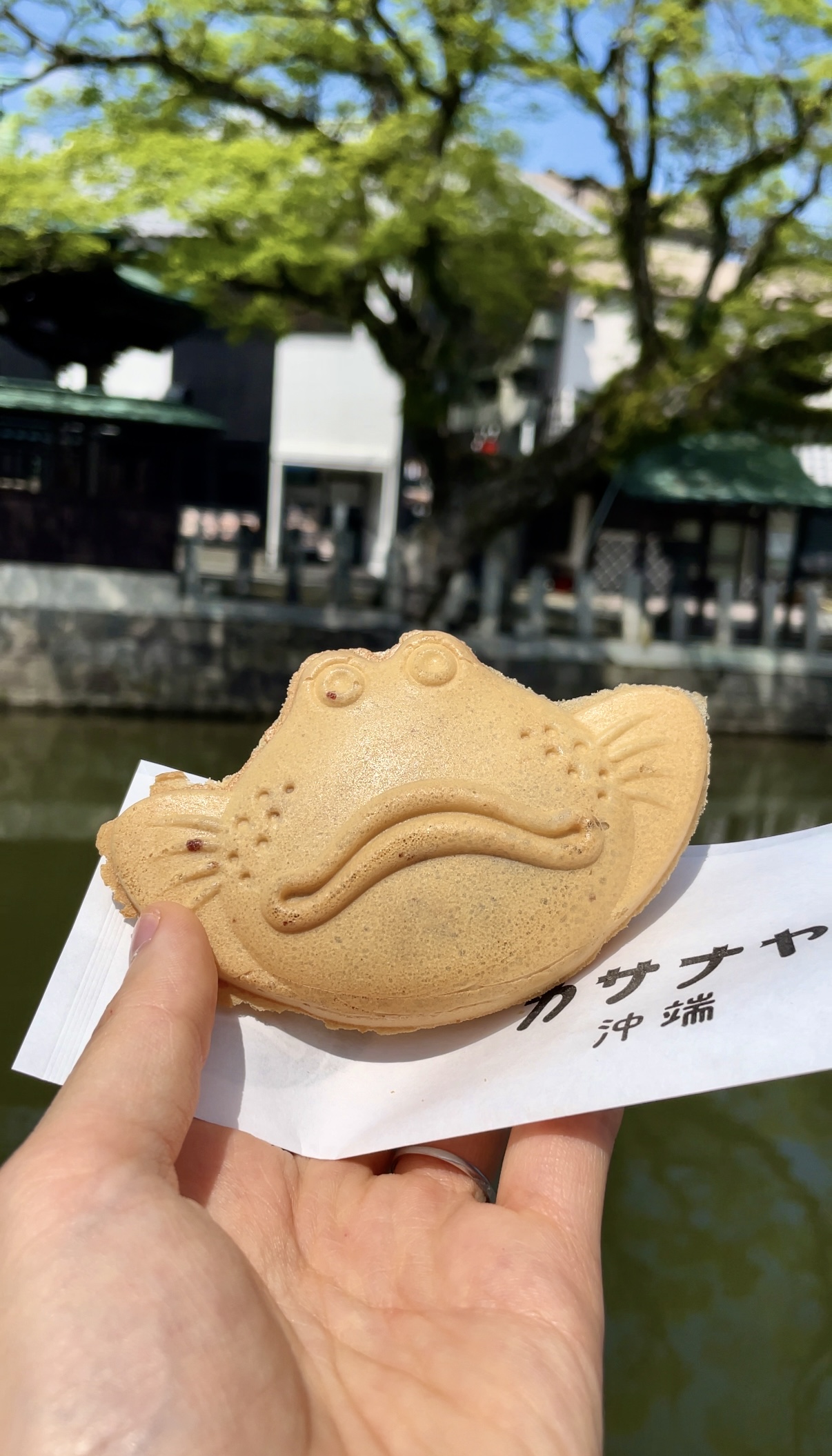 Kasanaya Okinohata: A Hidden Gem in Yanagawa’s Waterways